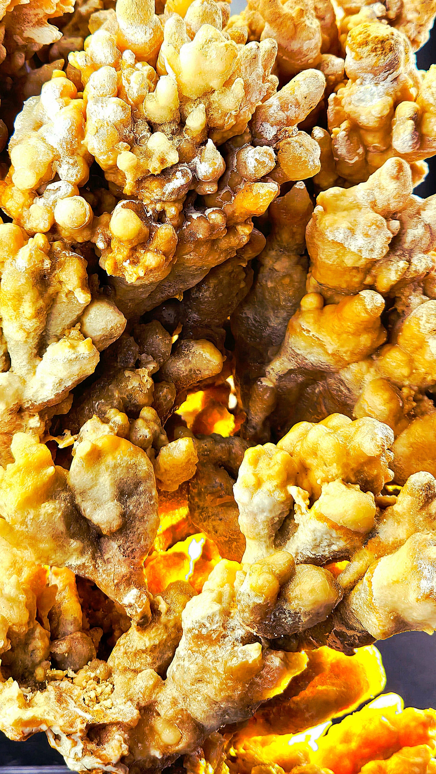 Cave Coral Aragonite – 2.75 lbs