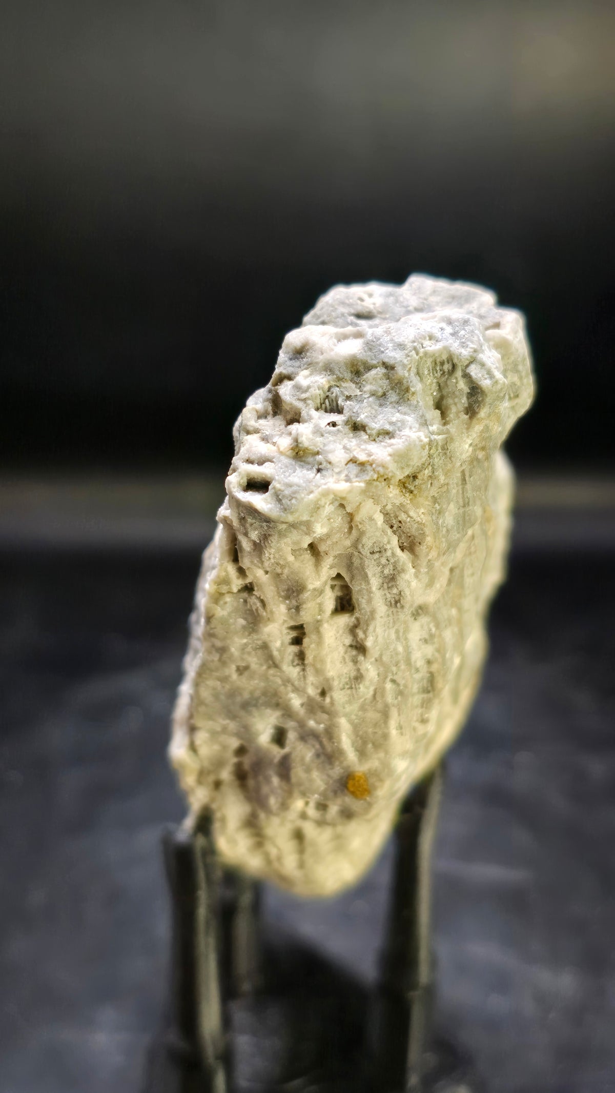 Fossilized Coral with Druzy Dolostone – Ohio Region, USA – 0.25 lbs