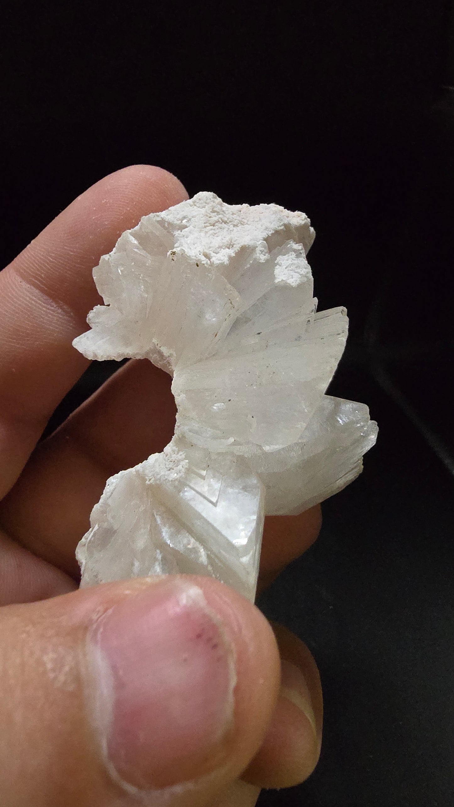 White Pearl Heulandite Crown Formation – Maharashtra, India – 0.09 lbs