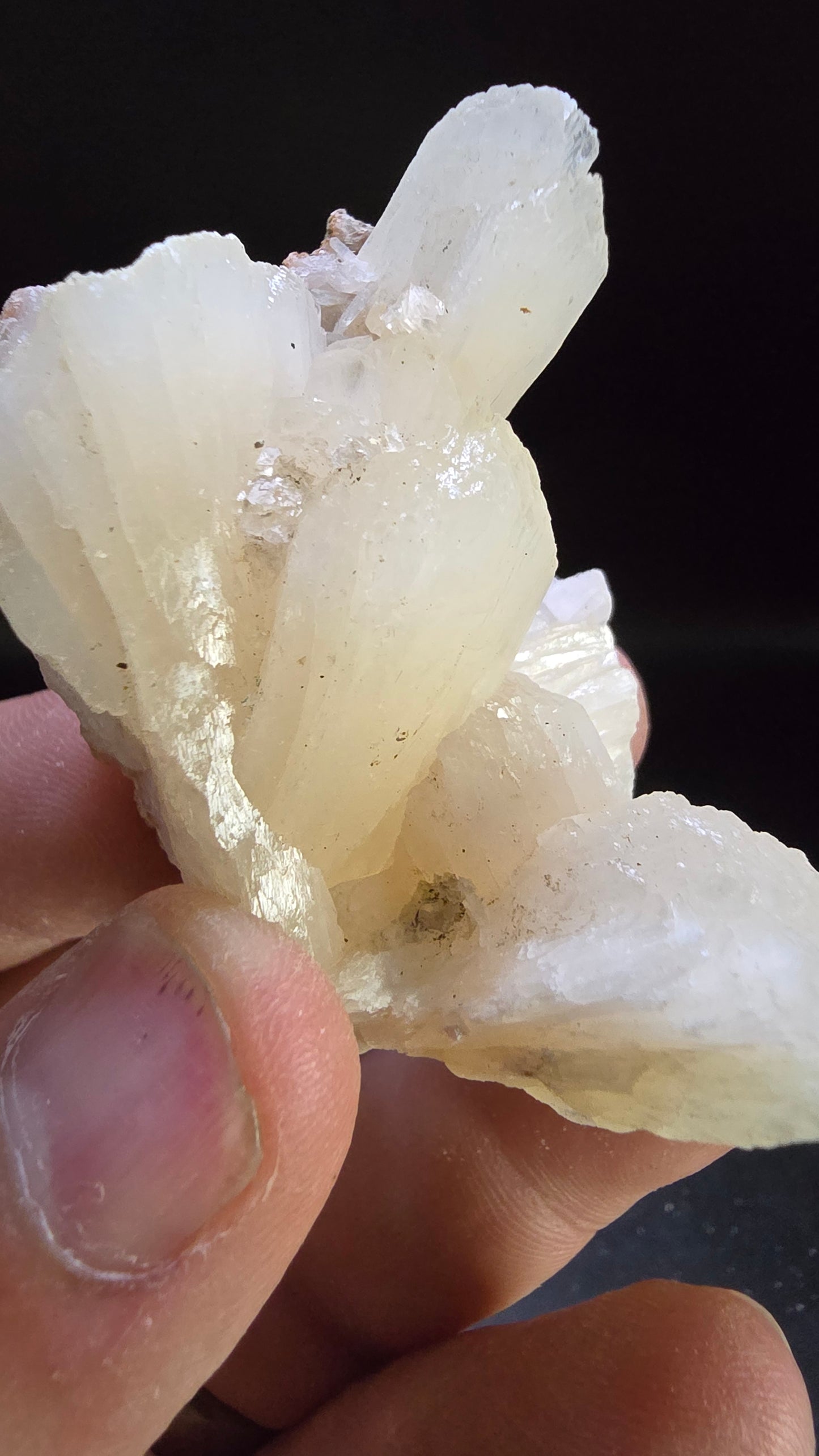 White Pearl Stilbite Garden Formation – Maharashtra, India – 0.10 lbs