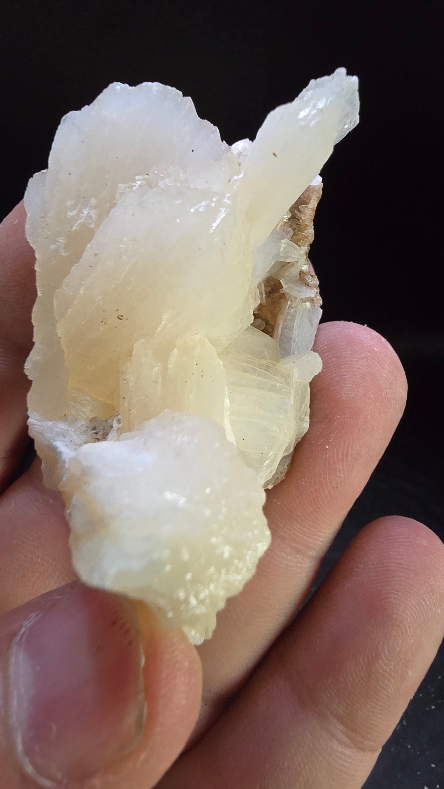 White Pearl Stilbite Garden Formation – Maharashtra, India – 0.10 lbs
