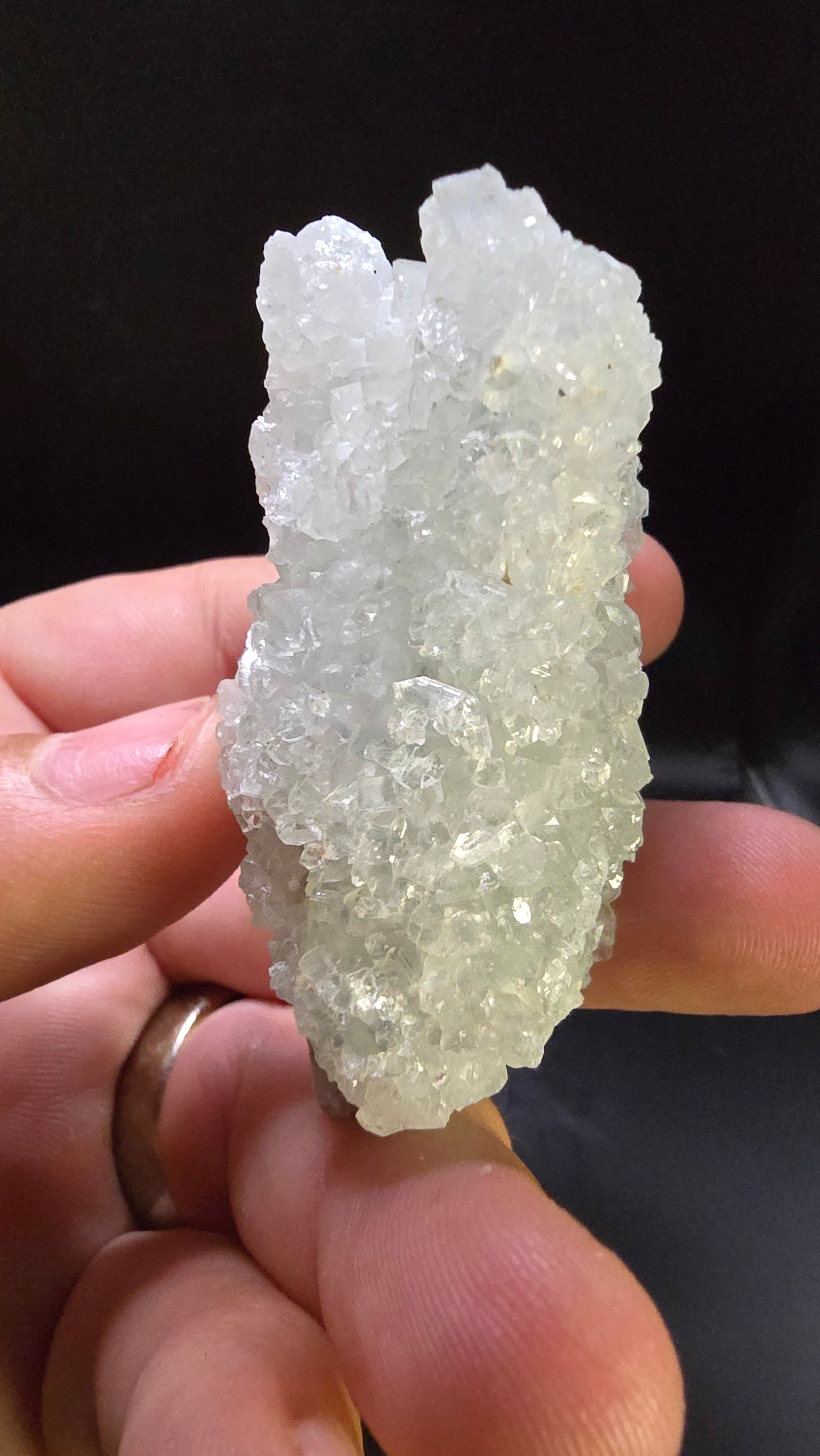 Diamond Apophyllite Druzy Stalactite – Maharashtra, India – 0.20 lbs