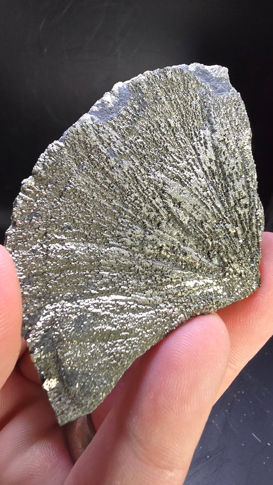 Pyrite Sunray – Sparta, Illinois, USA – 0.13 lbs