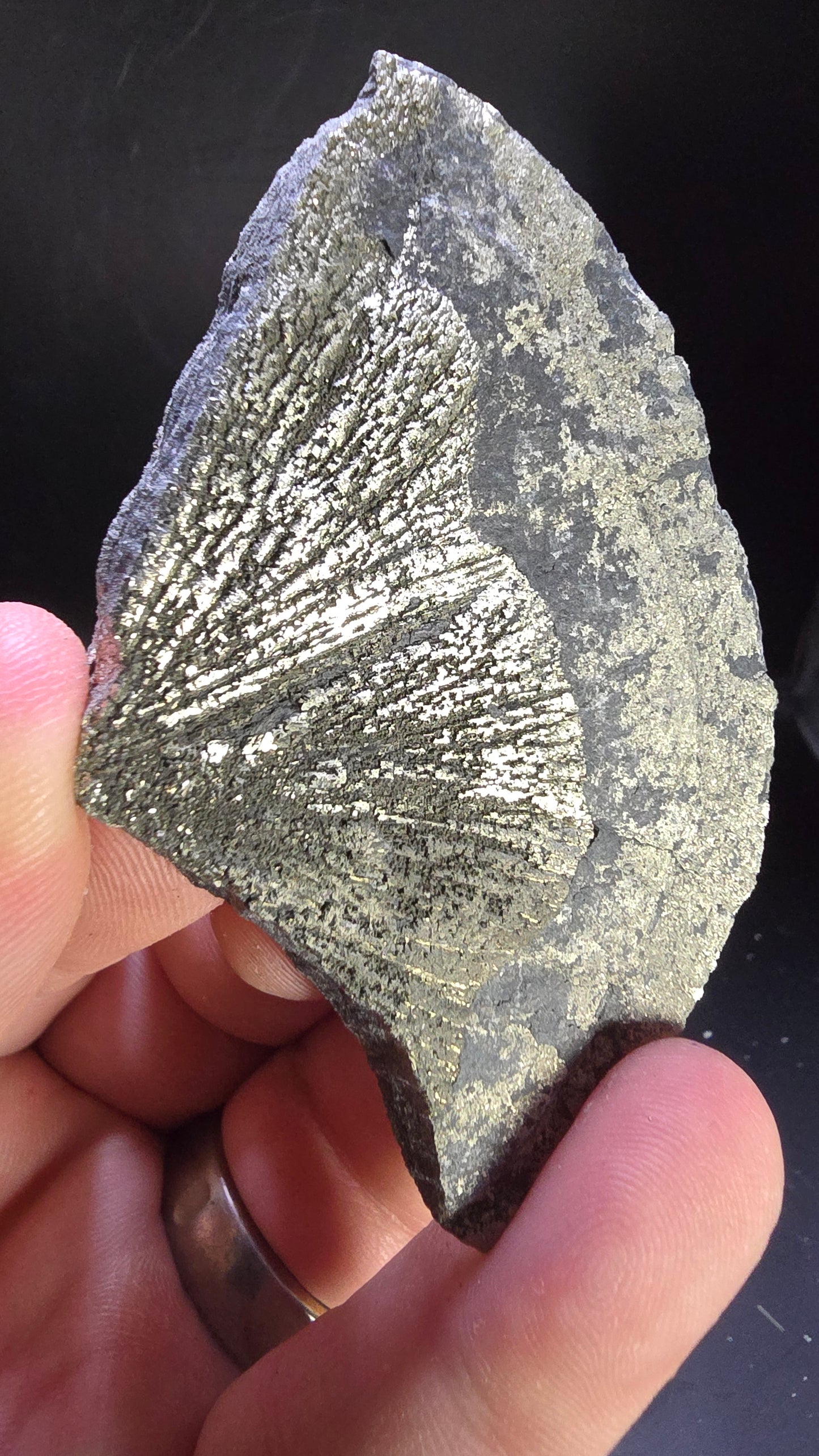 Pyrite Sunray – Sparta, Illinois, USA – 0.13 lbs