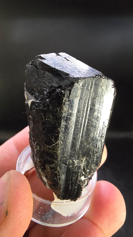 Natural Terminated Black Tourmaline Crystal – Gerais, Minas, Brazil – 0.14 lbs