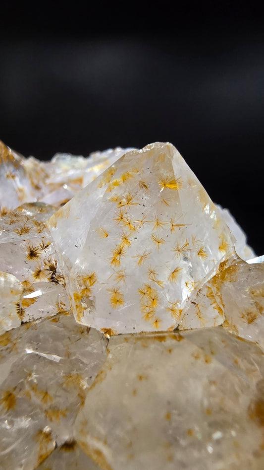 Clear Quartz Cluster with Golden Rutile Star Inclusions – Gerais, Minas Gerais, Brazil – 0.65 lbs