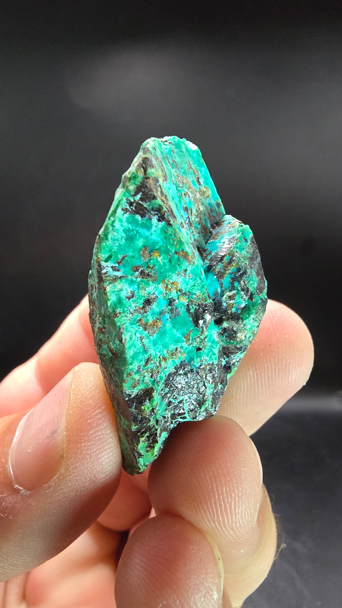 Gem Chrysocolla – New Mexico, USA – 26 grams