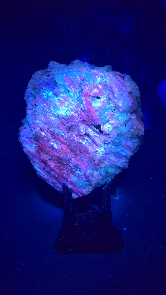 Fluorescent Ruby Corundum with Blue Kyanite in Quartz – Minas Gerais, Brazil – 0.78 lbs