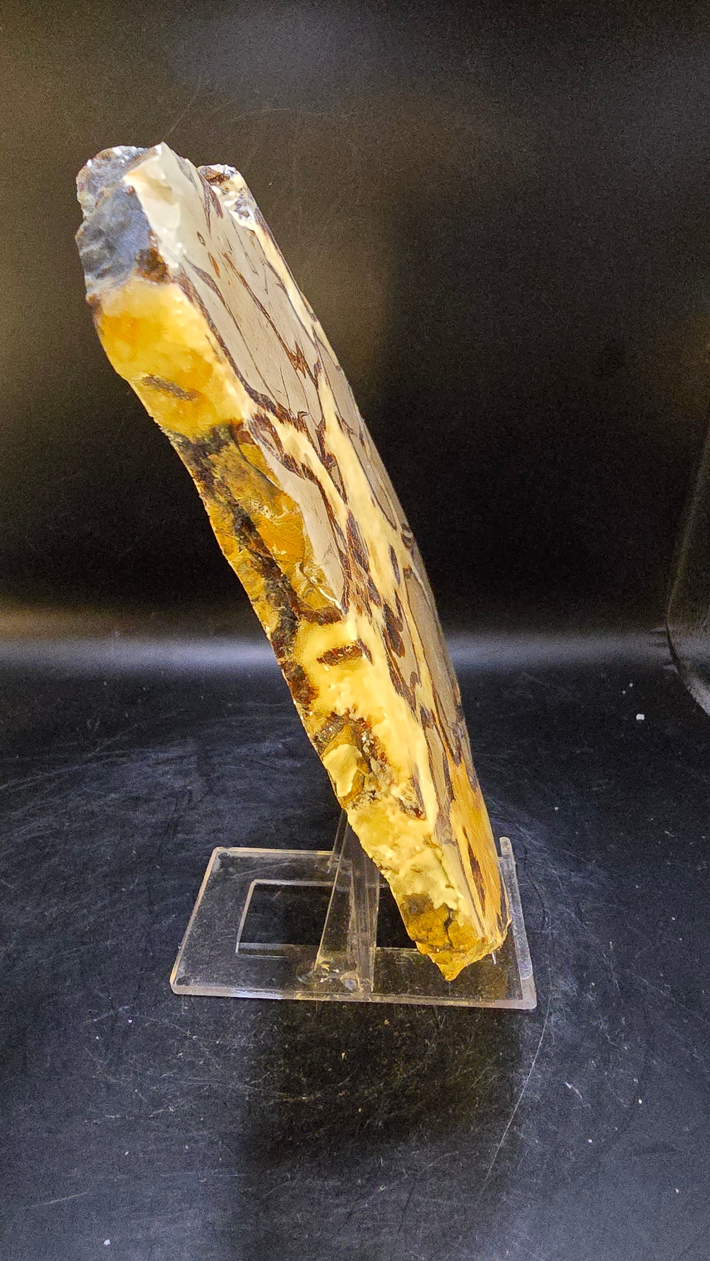 UV-Reactive Double-Polished Septarian Slab – Madagascar – 0.84 lbs