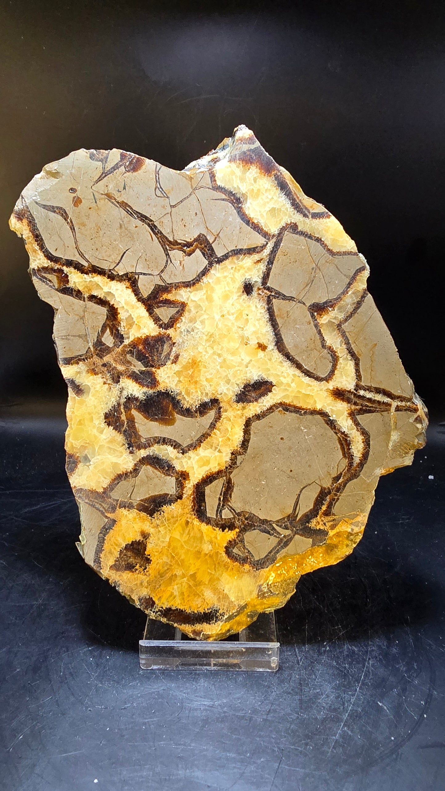 UV-Reactive Double-Polished Septarian Slab – Madagascar – 0.84 lbs