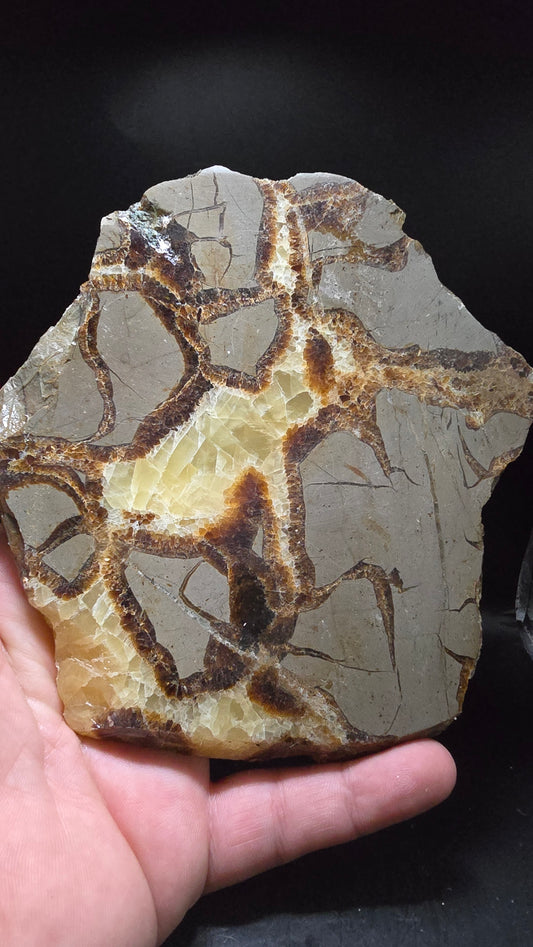 UV-Reactive Septarian Polished Slab – Madagascar – 0.67 lbs