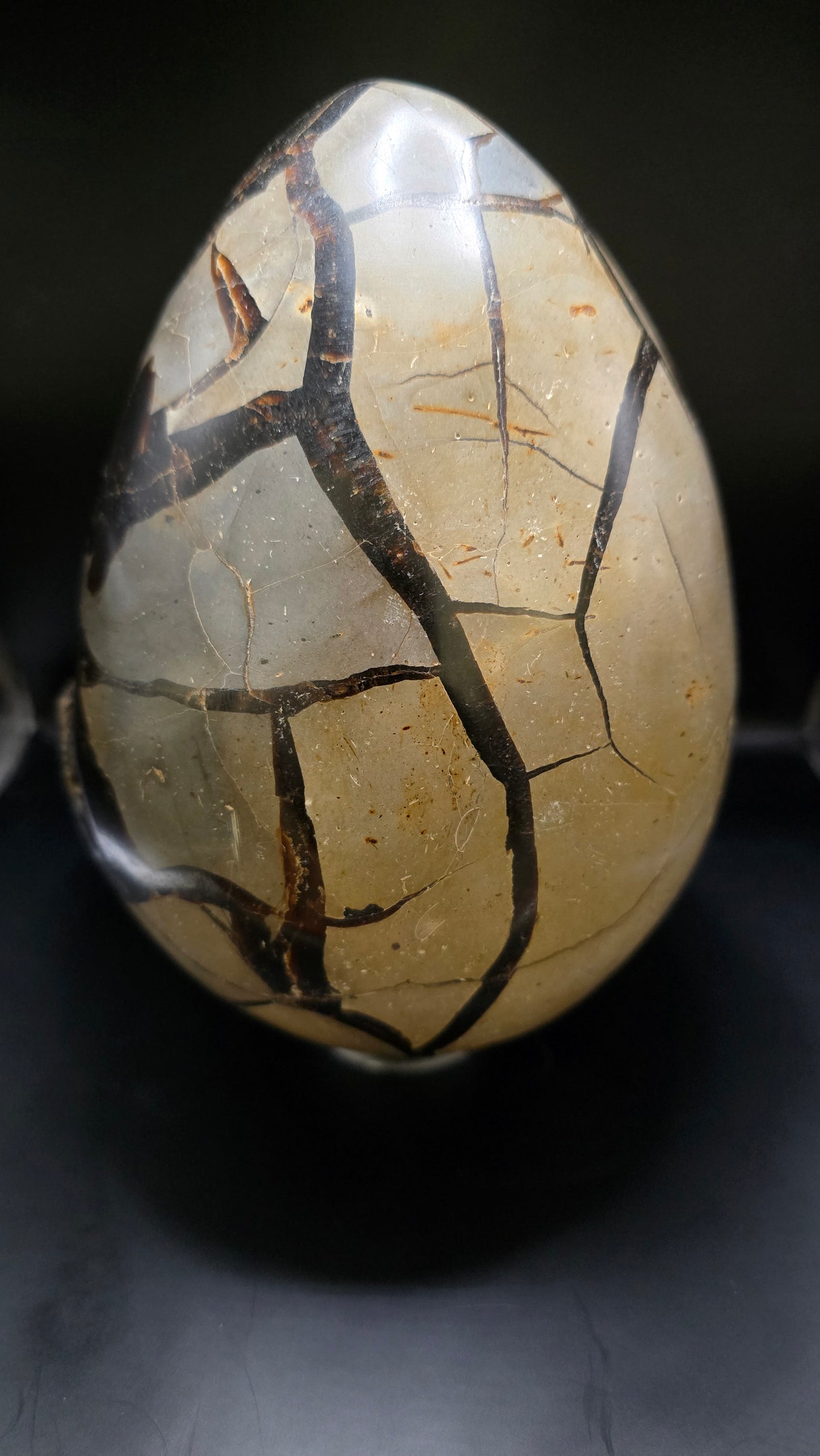 Septarian Stone Polished Egg  – Madagascar – 6.31 lbs