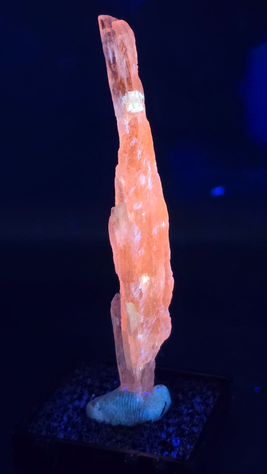 Pink Kunzite Crystal – Kunar, Afghanistan – UV Reactive – 9 Grams