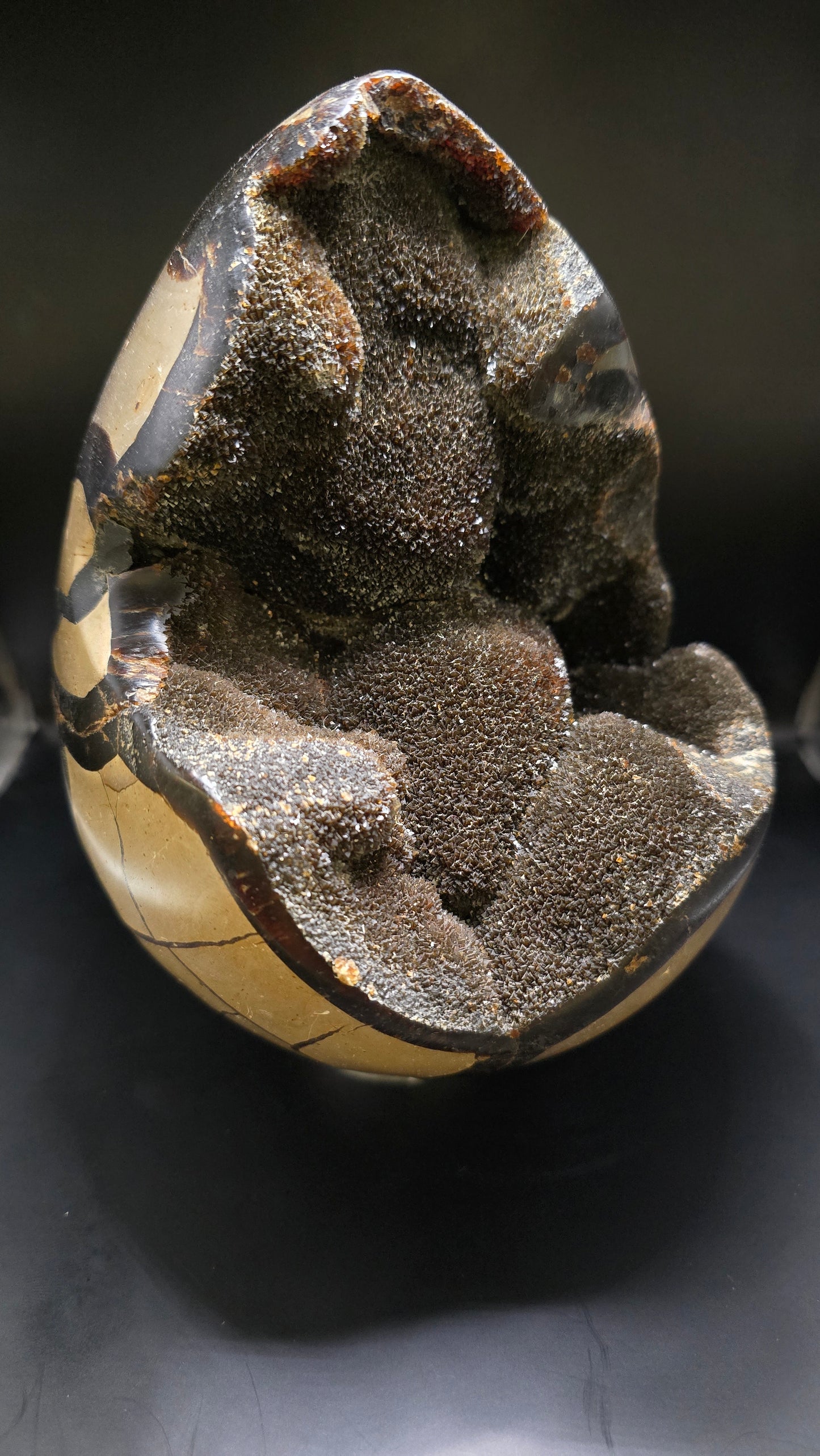 Septarian Stone Polished Egg  – Madagascar – 6.31 lbs
