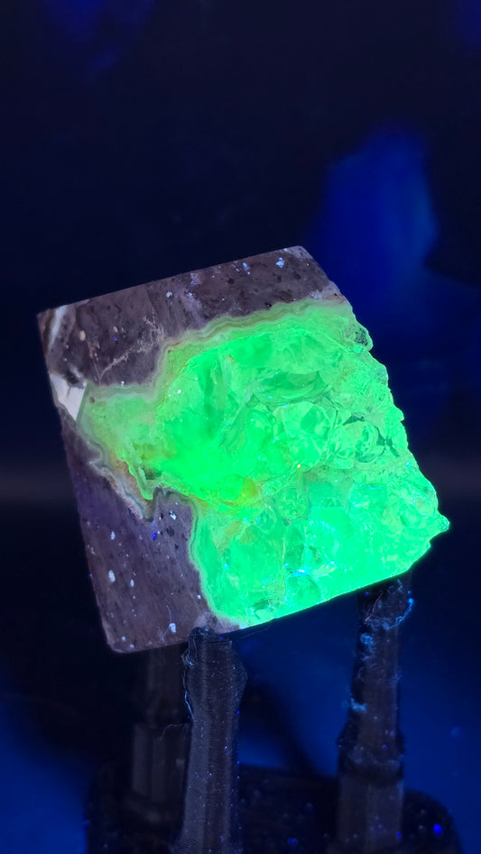 Polished & Natural Hyalite Opal Cluster – UV Reactive – Zacatecas, Mexico – 1.8 oz