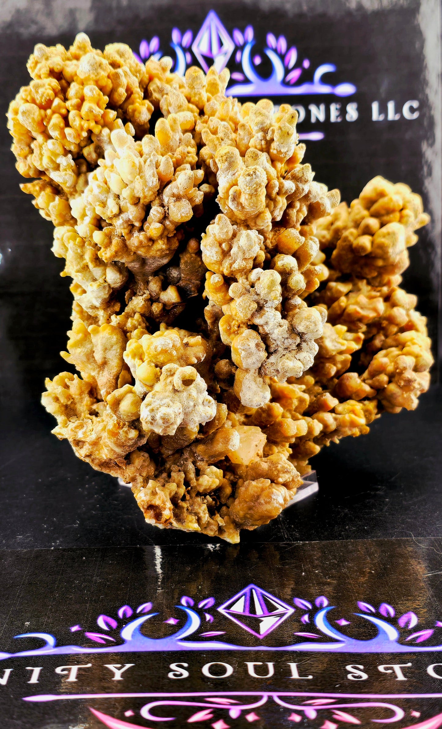 Cave Coral Aragonite – 2.75 lbs