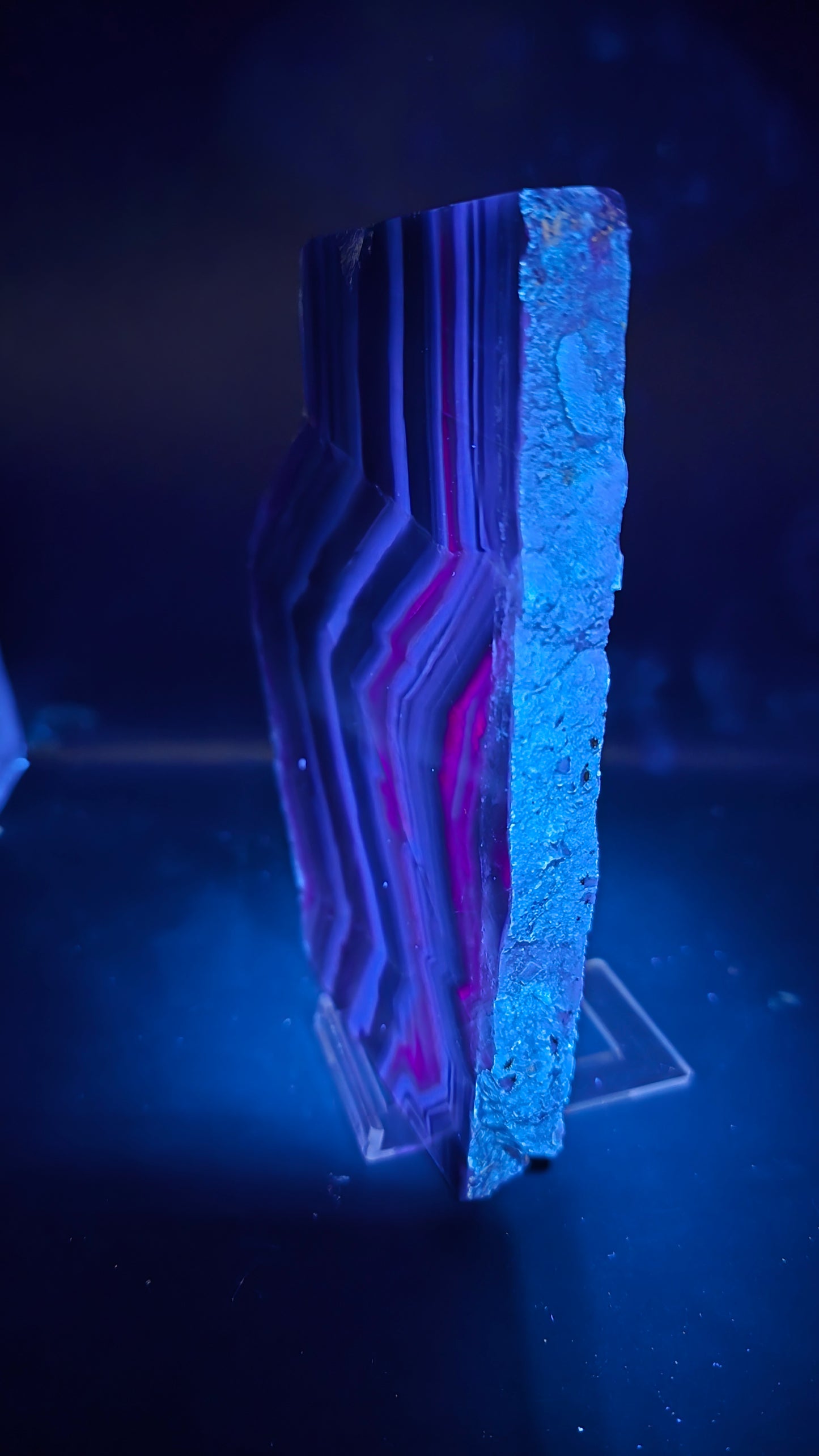 Black Rose Fluorite Polished UV Slab – Kharan, Pakistan – 1.25 lbs