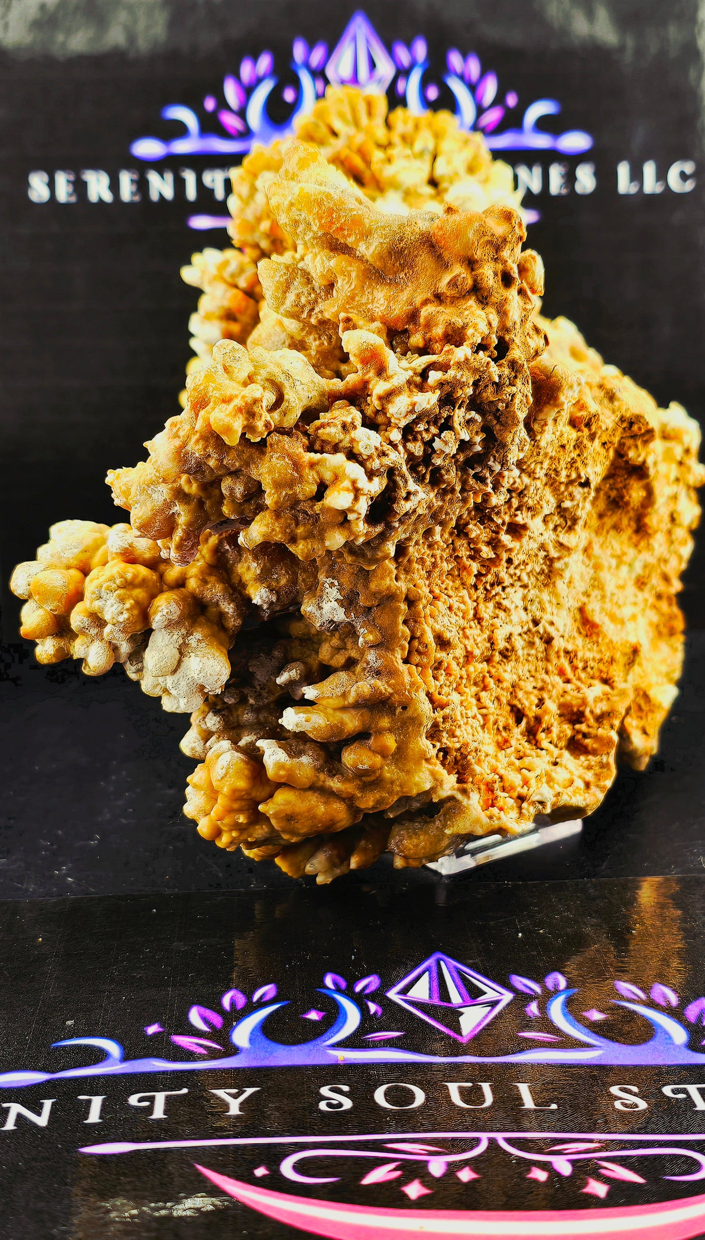 Cave Coral Aragonite – 2.75 lbs