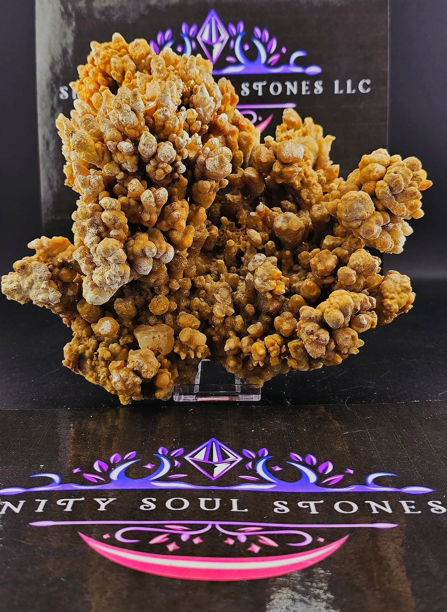 Cave Coral Aragonite – 2.75 lbs