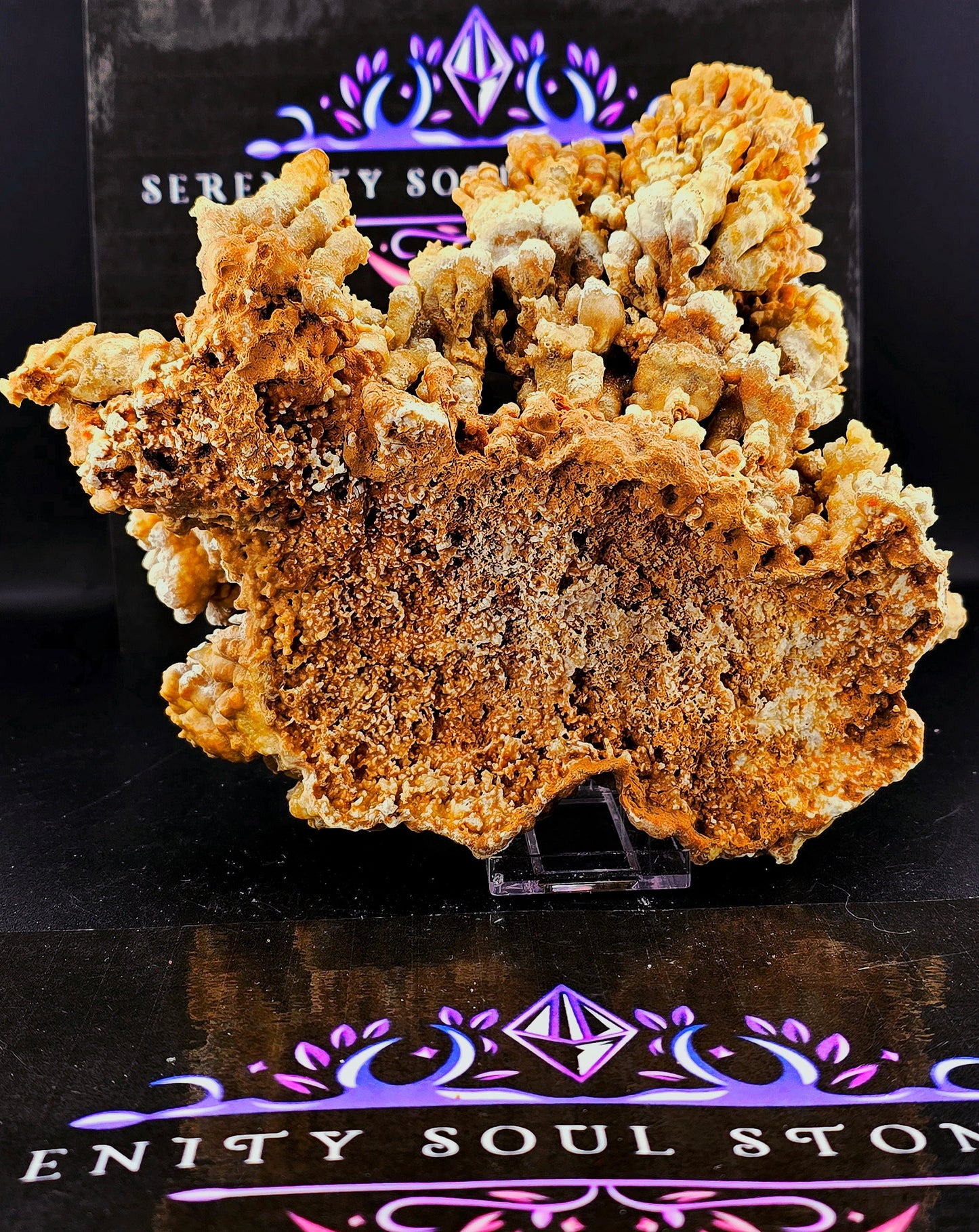 Cave Coral Aragonite – 2.75 lbs